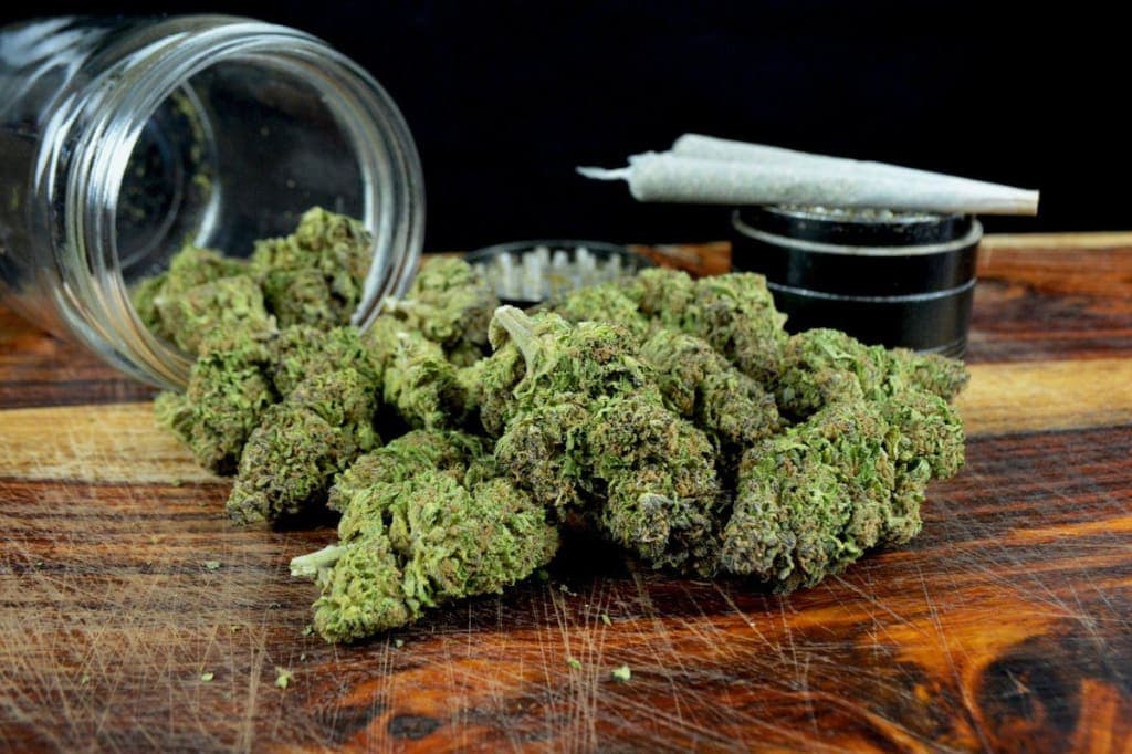 Find the Freshest Flower When You Buy Weed Strains Europe Online at Euro Weed Clinic