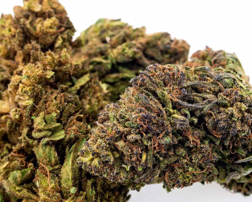 CBD Kush Auto: Laboratory-Approved Excellence at Green Leaf Store EU